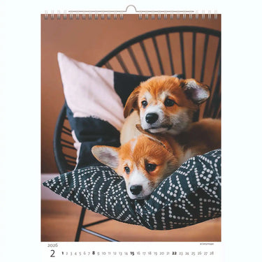 Puppy Photos Calendar A3+ 2026+